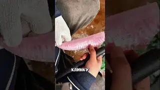 Инженерный Процесс Создания Стеклянного Клинка С Идеальной Геометрией