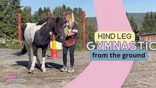 Giravolta and shifting hind legs