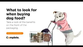 How to Identify High-Quality Dog Food