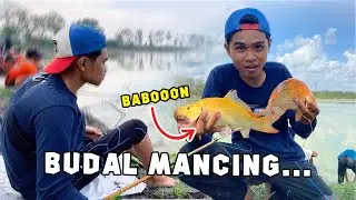 NGEVENT MANCING BERHADIAH JUTAAN RUPIAH !!! FULL BABON TOMBRO