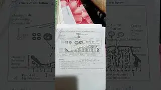 weekly test number 2 (2025_2026) 10th science and technology part 2