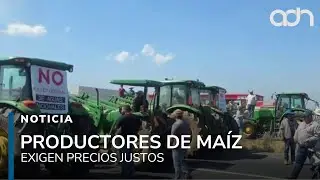 Productores de ma&iacute;z protestan: exigen $7,200 por tonelada para cubrir costos de producci&oacute;n