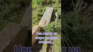 Стари големи камъни.. #стъпала #камъни #двор #short #diy#двор#garden #stone #oldstone #garden #alone
