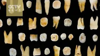 Ancient teeth found in China could rewrite human history