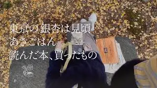 vlog ）東京の銀杏と読書、手袋を買いに、朝ごはん、読んだ本の感想。読書 vlog. 🌷In my room.