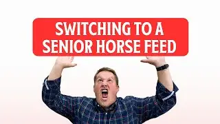 Senior Horse Feeds: When to Make the Switch