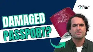 Damaged Passport When You NEED a New One (Avoid Travel Headaches!) | MyPassportHub Legit