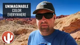 Fire Canyon & Silica Dome | Valley of Fire State Park | A Trip Down Fire Canyon Road