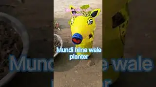 mundi hilne wale planter #diy #art #gardening #gardenplants #viral #garden #plants #gardenflowers