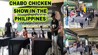 FIRST CHABO CHICKEN SHOW IN SM CABANATUAN