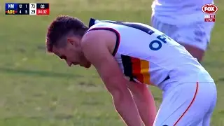 R9: Seedsman gets one back
