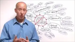 Lean Belly Breakthrough Review in 2017   Does it Work