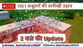 2 Baje Ki Update | 1051 Kabootar | Chandan Chauhan - Aligarh