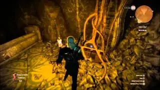 The Witcher 3 Wild Hunt Fools Gold