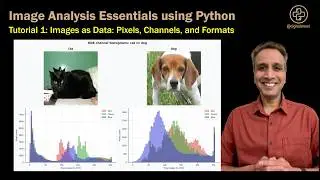 Tutorial 1: Images as Data: Pixels, Channels, and Formats