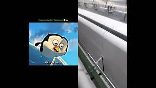 Penguins Perfect😘😘😘 #Teamwork| Madagascar |#madagascar#edit#shorts#animation