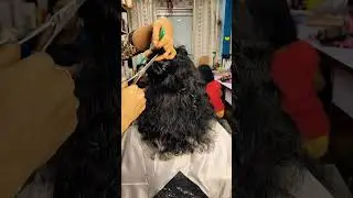 HAiR style Hair cutting short hairstyles #youtubeshorts #glamourlook