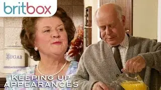Стратегически размещённые праздничные брошюры Hyacinth не привлекают внимания | Соблюдение приличия