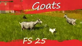 Farming Simulator 25: Goats! How to take care of them?