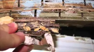Louisiana New Home Buyers Warranty Act - Complete, Inc.