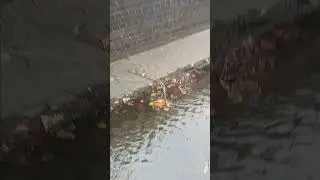 walking down the abandoned canal again pt3