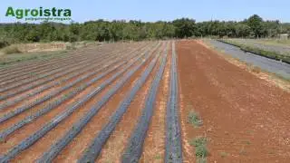 AGROISTRA OPG Vanđelić