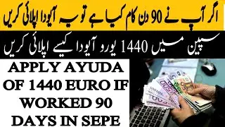 ayuda in spain .how to apply ayuda in spain .ayuda in sepe .ayuda in inem spain