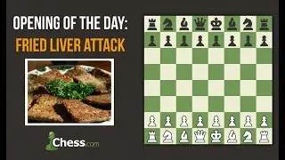 Jak zahr&aacute;t Fried-Liver Attack? Otevřen&iacute; pro b&iacute;lou stranu