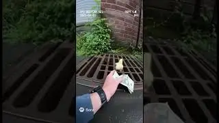 Bodycam Captures Chick who stole money from cop and gets arrested #ai #soraai
