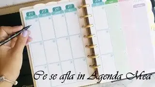 Ce se afla in Agenda mea Love Doki