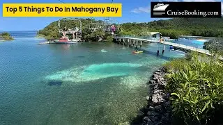 Best Activities in Mahogany Bay 🌊 | Roatan Cruise Guide