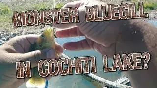 Cochiti Lake, NM - Bank Fishing