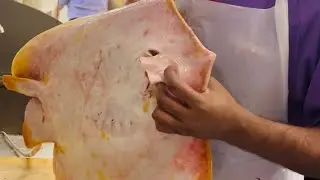 Amazing stingray (pari) fish cutting video 