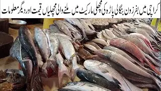 Fish Market Info Bufferzone Karachi Fish Fresh meat All Kinds Of Fish & Other Seafood Current Price
