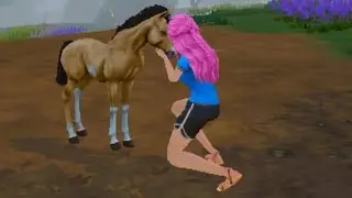 Star equestrian foal growing ✨️
