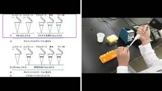 【体験入学＆研究室公開】b 酵素の働きを知る～生体内の機能調節に関わる酵素の実験に挑戦しよう～