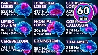 60 min Complete Brain Healing Series - Vol. 12 | Deep Sea Series Soundscape