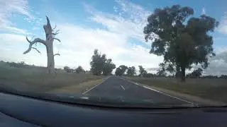 Rural car drive/ road trip Victoria rural road/ tour Australia