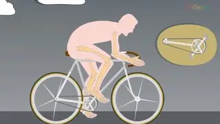 How to Build Complex Mechanical Systems | #Biomechanics of movement