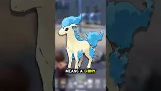 NEW FEATURE makes SHINY POKEMON EASY!