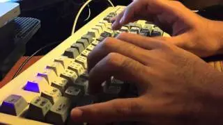 NISSHO KB106DE, Topre 30g uniform, HiPro caps typing test