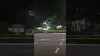 *SPECTACLED FLYING FOX* 2021-10-22, No.2, 4am Cairns ongoing dispersal-eviction