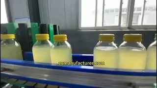 processing machine for apple, corn juice, red date and wolfberry juice beverage prodution line
