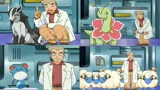 Mareep  -  Marill - Meganium  - Mightyena attacks Professor Oak   Professor Oak Funny Moments