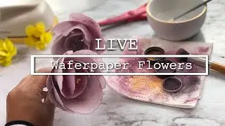 WAFERPAPER FREE CLASS