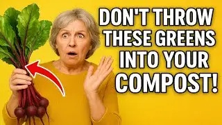 Don't throw THESE greens into your compost! This is the biggest mistake 99% of home gardeners make,