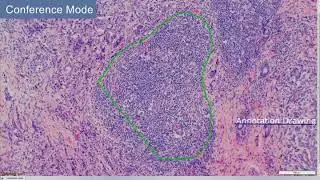 cellSens: Conference Mode