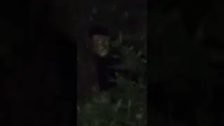 paranormal olaylar takip&ccedil;imizin bah&ccedil;esindeki cinler