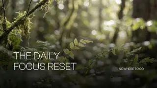 The Daily Focus Reset | Nowhere to go.