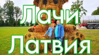 Где медведи хлеб пекут. Lāči